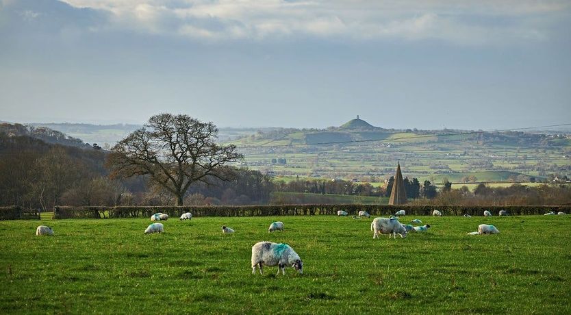 Photo of Gothic Church