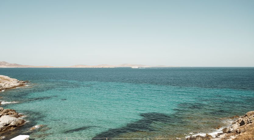 Photo of Sing of Summer & Sunset