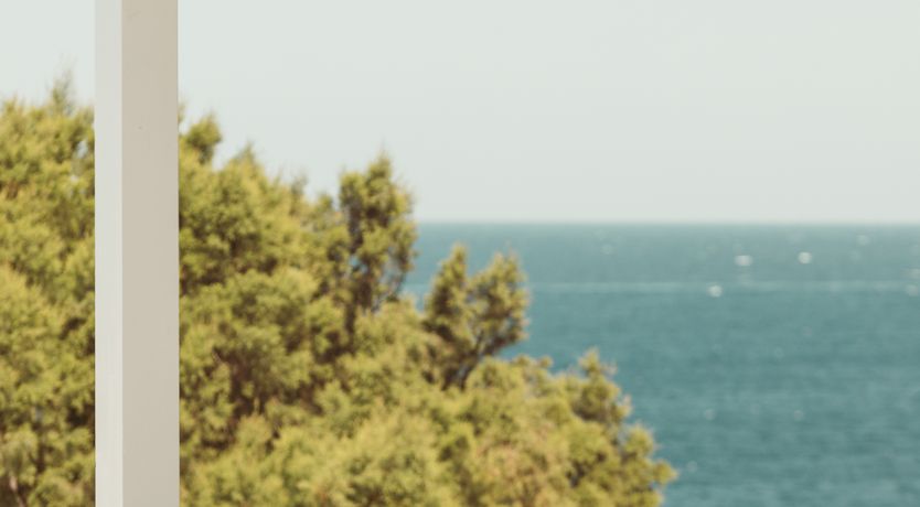 Photo of Sing of Summer & Sunset