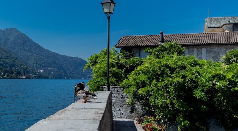 Photo of By the Light of the Lake