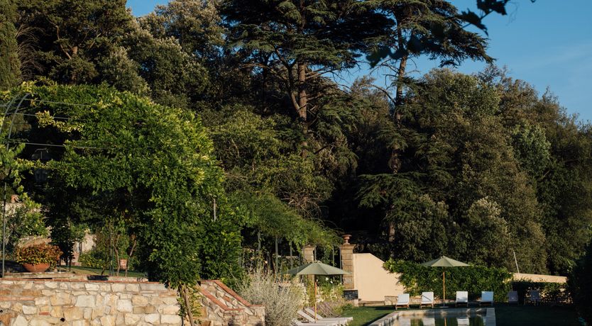 Photo of The Legendary Giulia