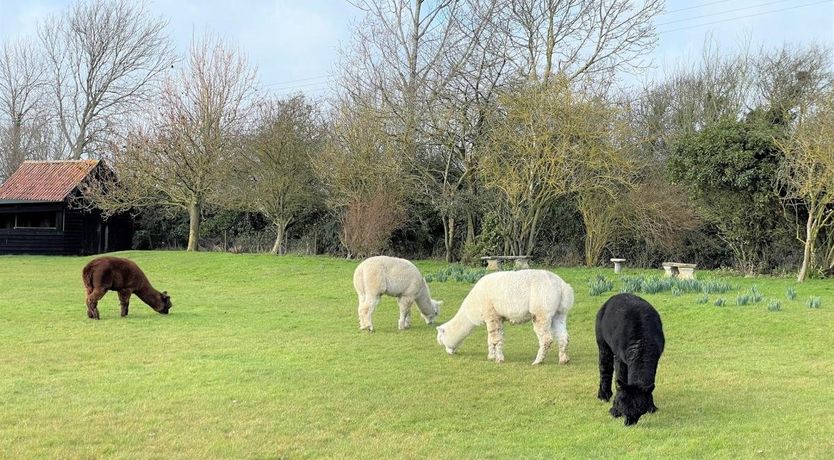 Photo of 1 Bed in Alburgh