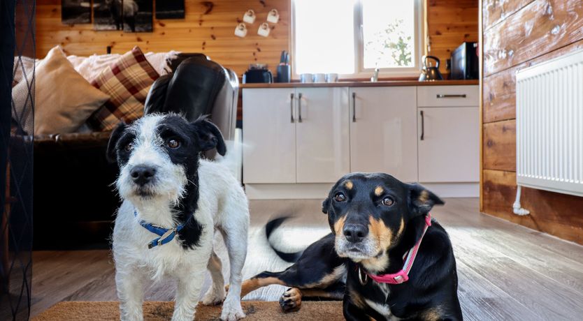 Photo of Stag Lodge Pod