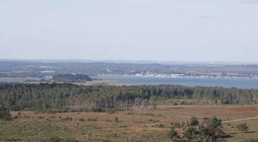 Photo of Still Waters