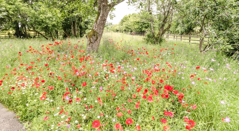 Photo of Bohans Barn