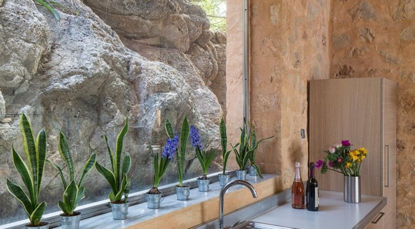 Photo of Under A Blue Moon