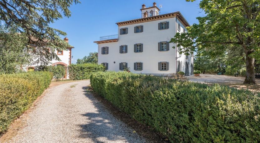 Photo of Between The Olive Groves