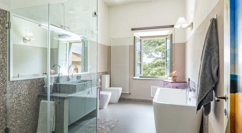 Photo of Between The Olive Groves