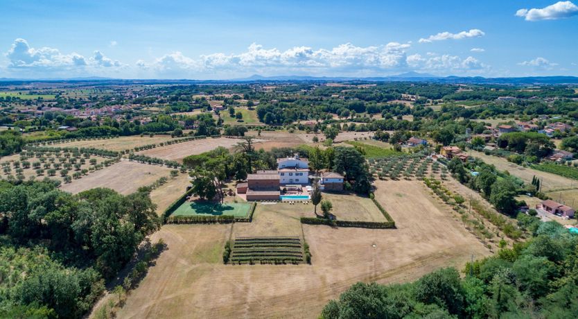 Photo of Between The Olive Groves
