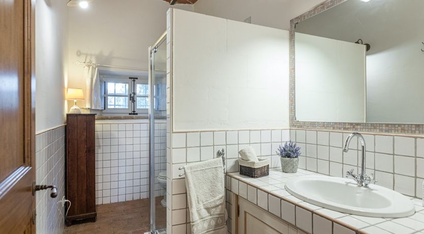 Photo of Between The Olive Groves