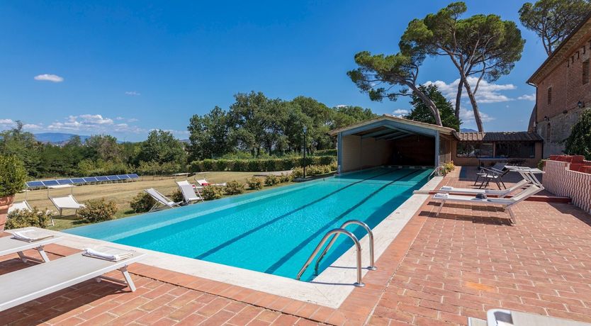 Photo of Between The Olive Groves