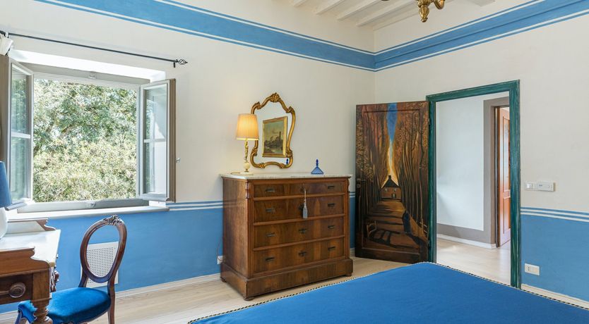 Photo of Between The Olive Groves