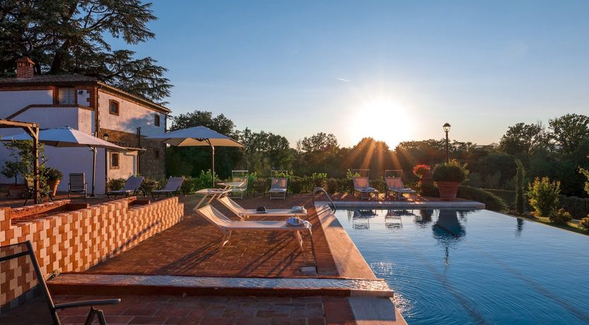 Photo of Between The Olive Groves