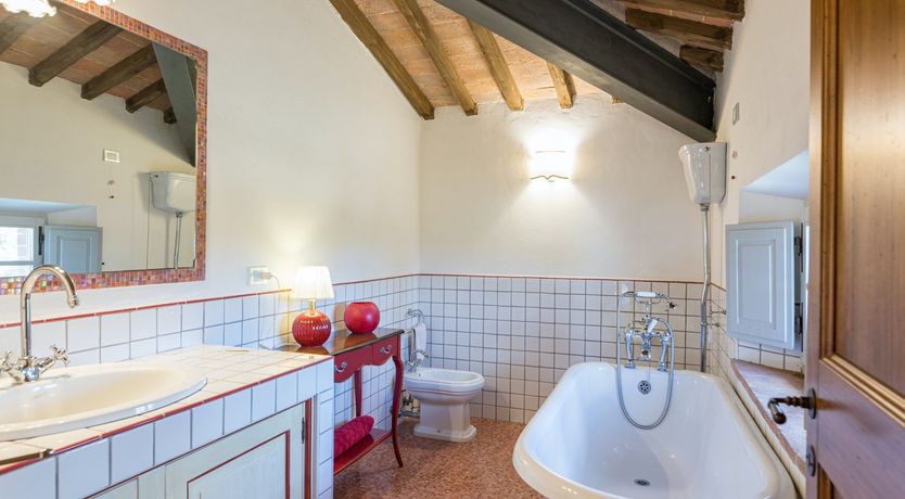 Photo of Between The Olive Groves