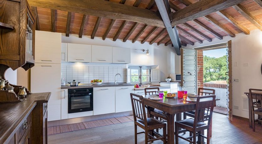 Photo of Between The Olive Groves