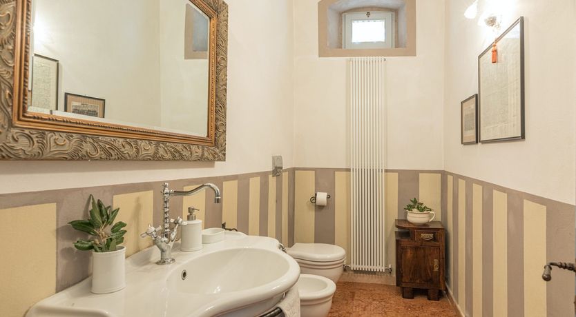 Photo of Between The Olive Groves