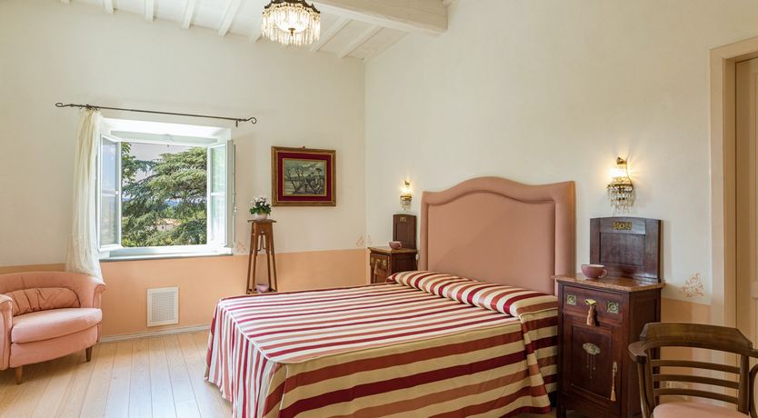 Photo of Between The Olive Groves