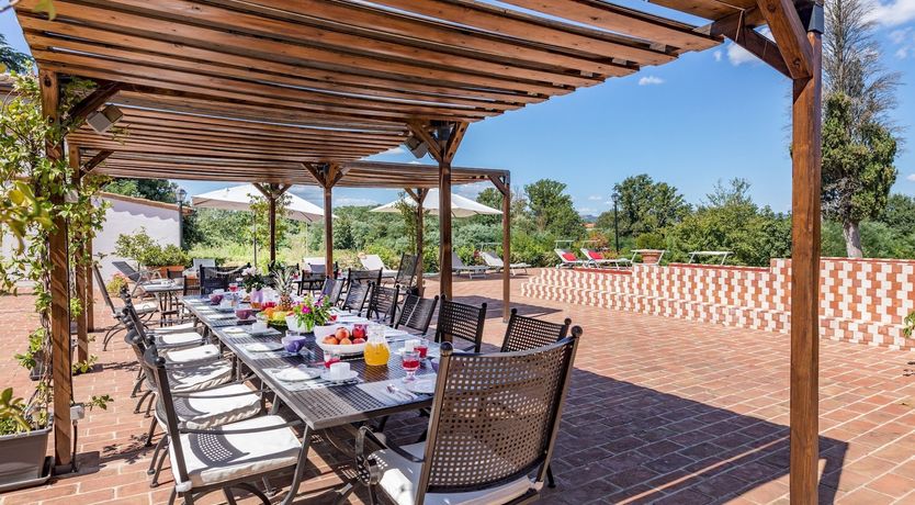 Photo of Between The Olive Groves