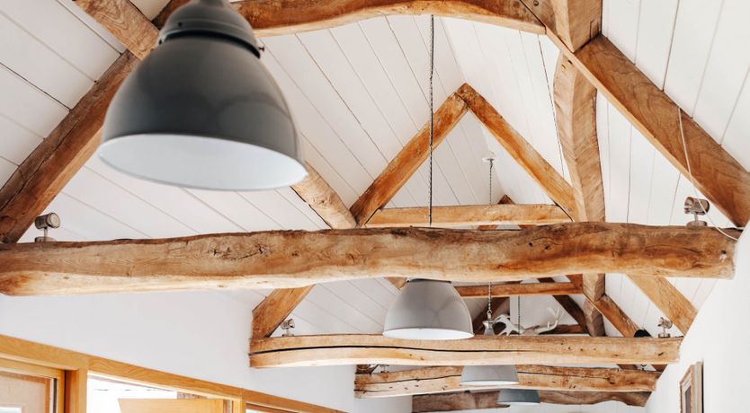 Photo of The Bronze Knight