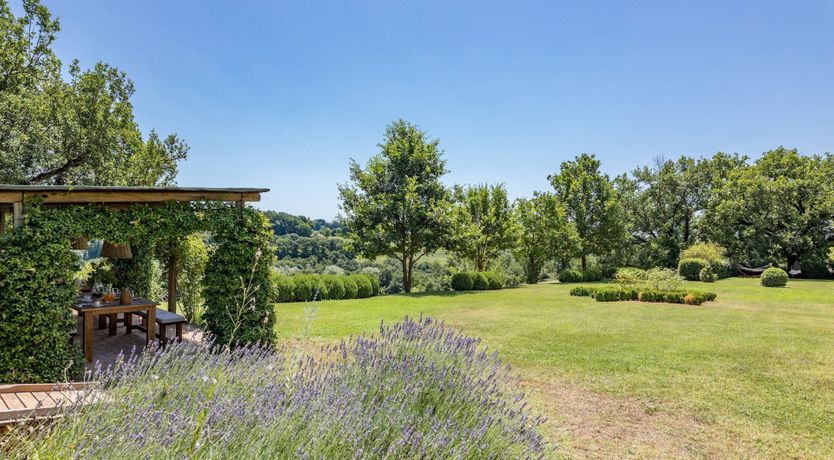 Photo of Heirloom Roses