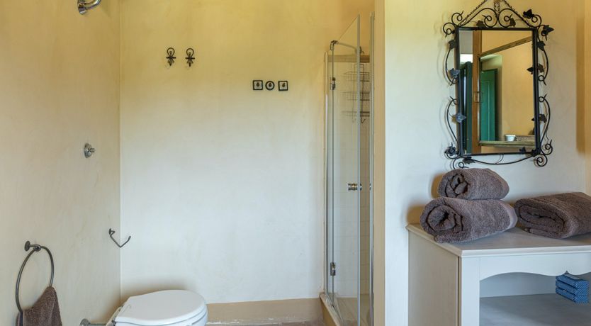 Photo of Heirloom Roses