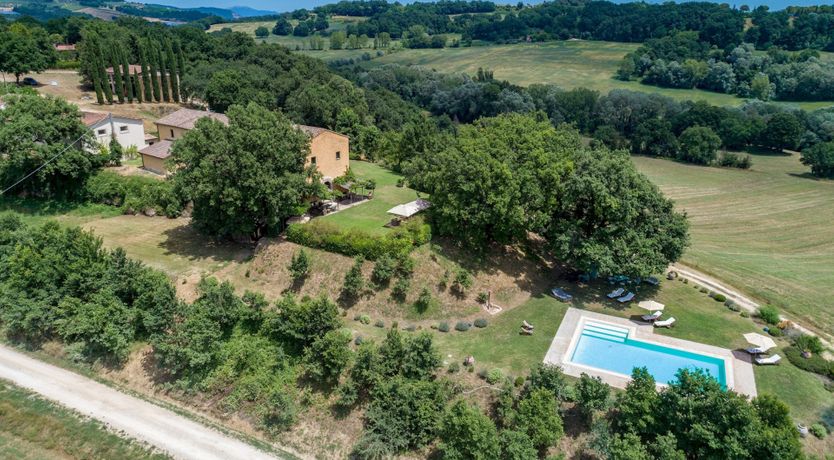 Photo of Heirloom Roses