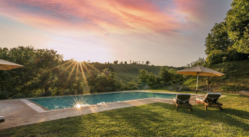 Photo of Heirloom Roses