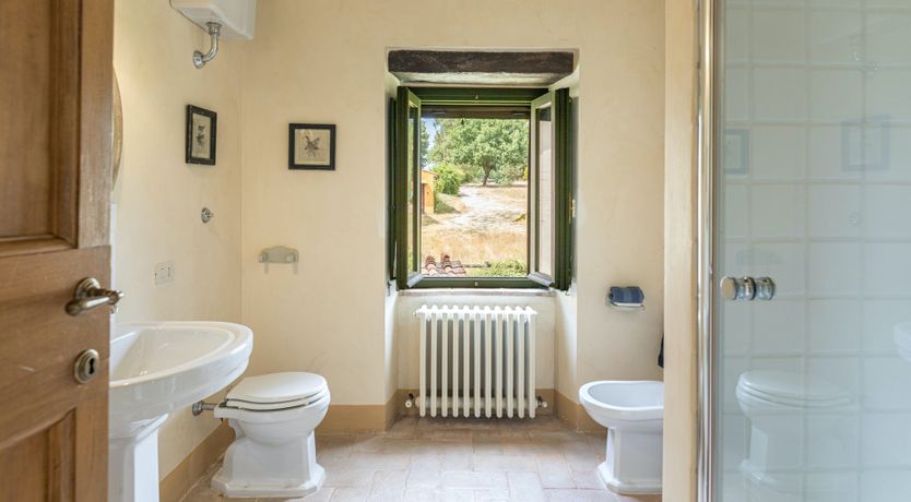 Photo of Heirloom Roses