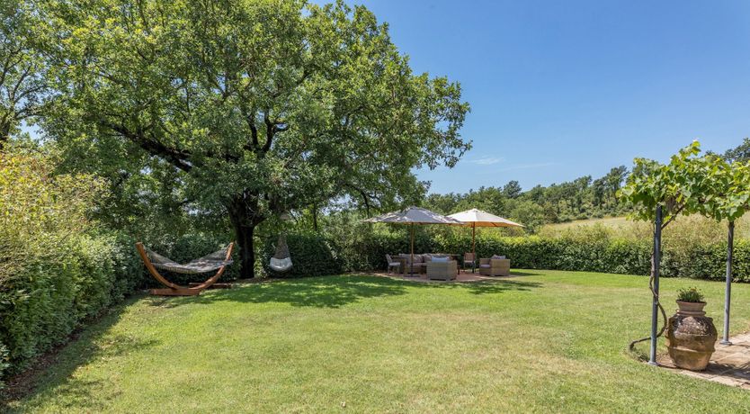 Photo of Heirloom Roses