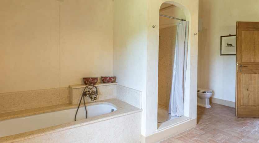 Photo of Heirloom Roses