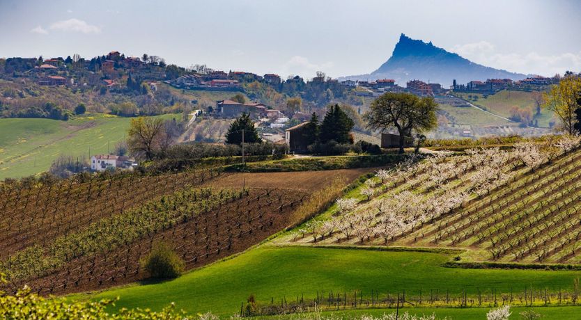 Photo of Romagna Gardens