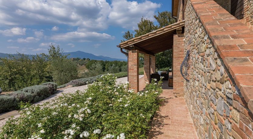 Photo of Shades of Green