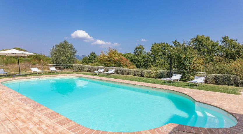 Photo of Shades of Green