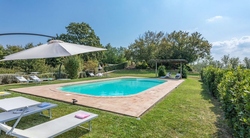 Photo of Shades of Green