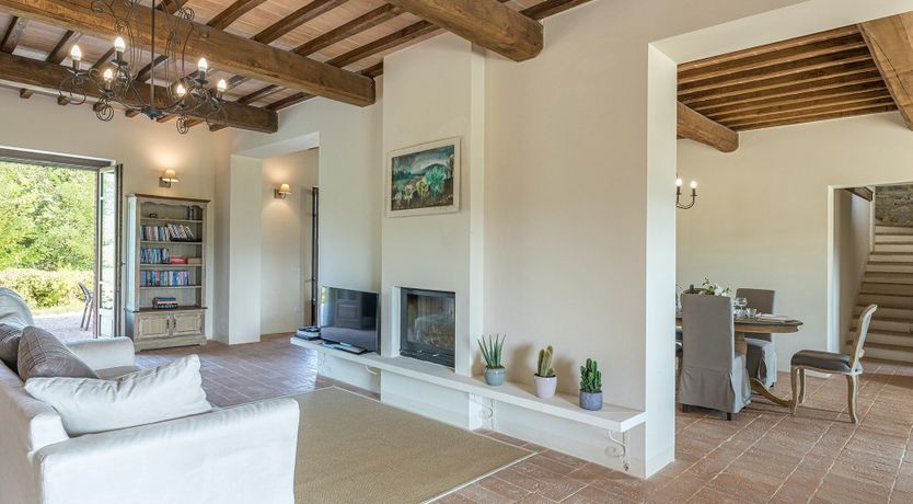 Photo of Shades of Green