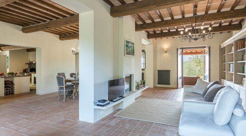 Photo of Shades of Green