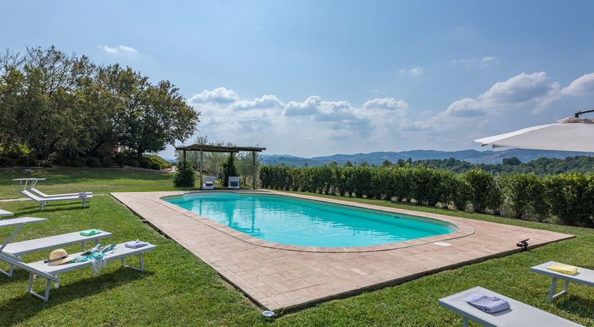 Photo of Shades of Green