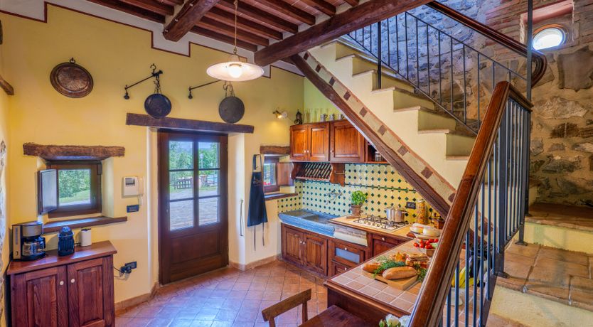 Photo of Shadow Blooms