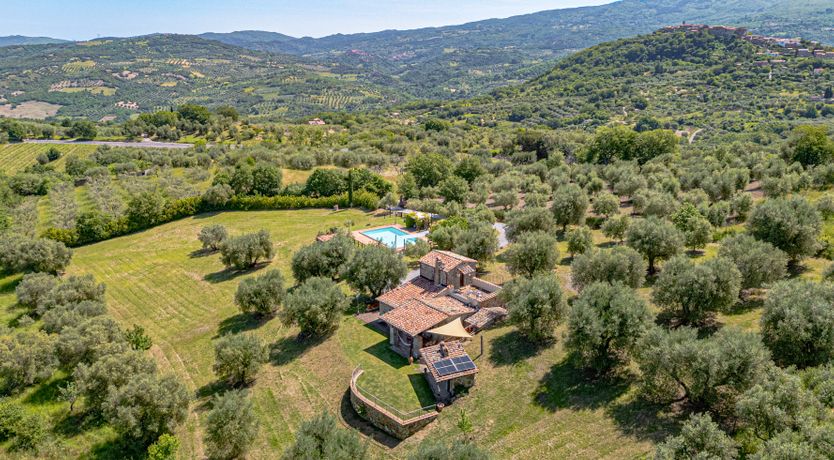 Photo of Shadow Blooms