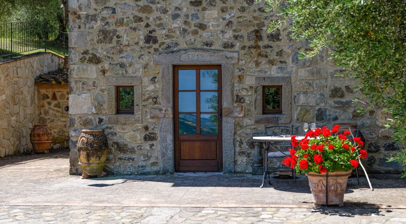 Photo of Shadow Blooms