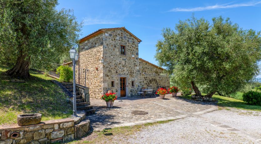 Photo of Shadow Blooms