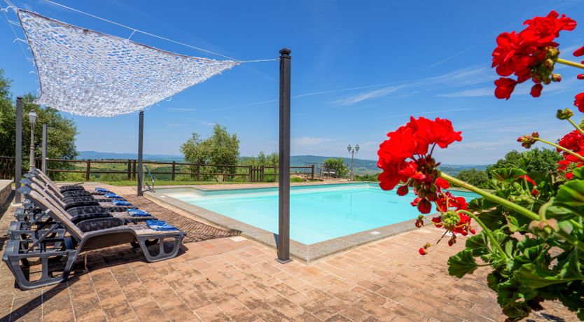 Photo of Shadow Blooms