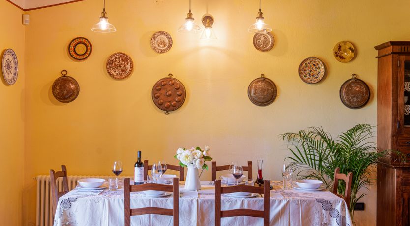 Photo of Shadow Blooms