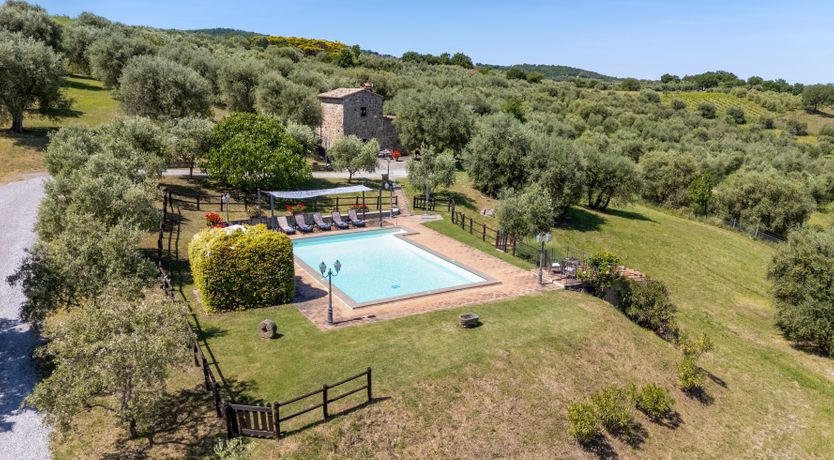 Photo of Shadow Blooms