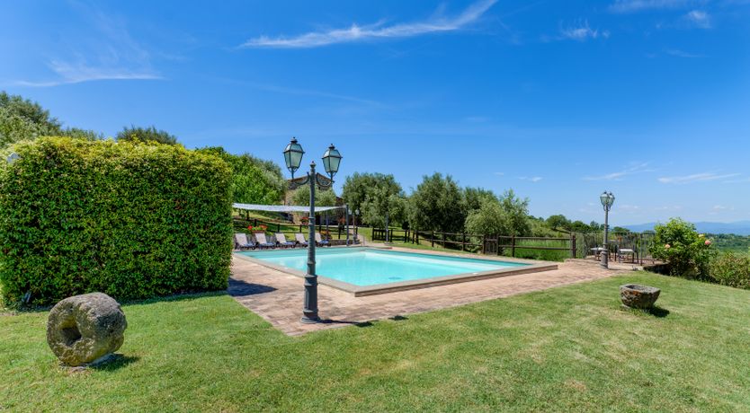 Photo of Shadow Blooms