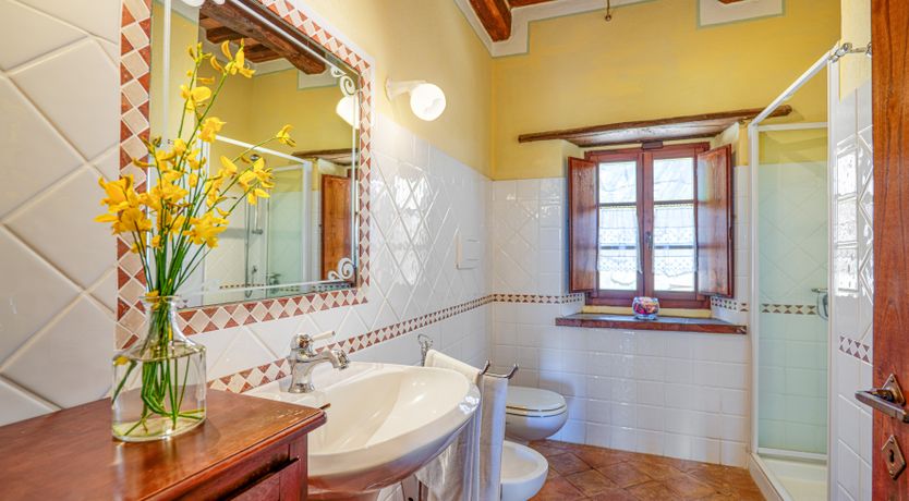 Photo of Shadow Blooms