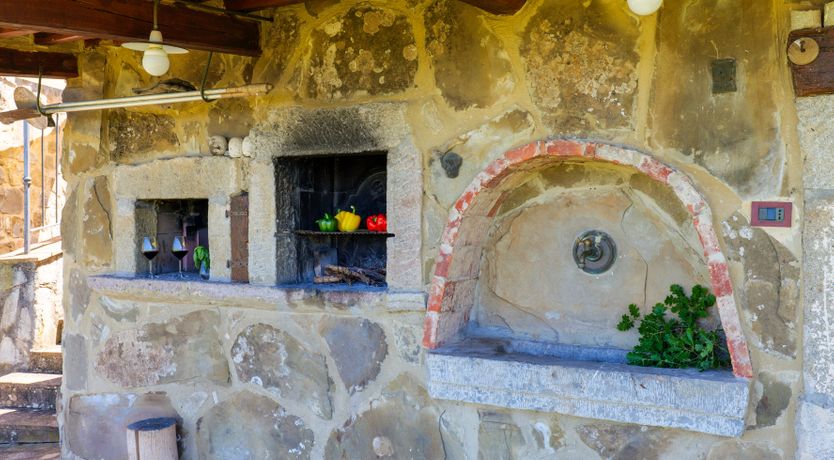 Photo of Shadow Blooms