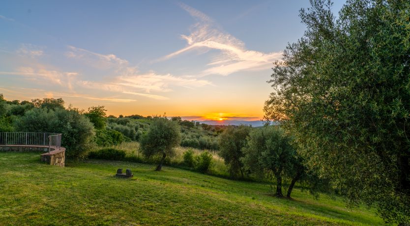 Photo of Shadow Blooms