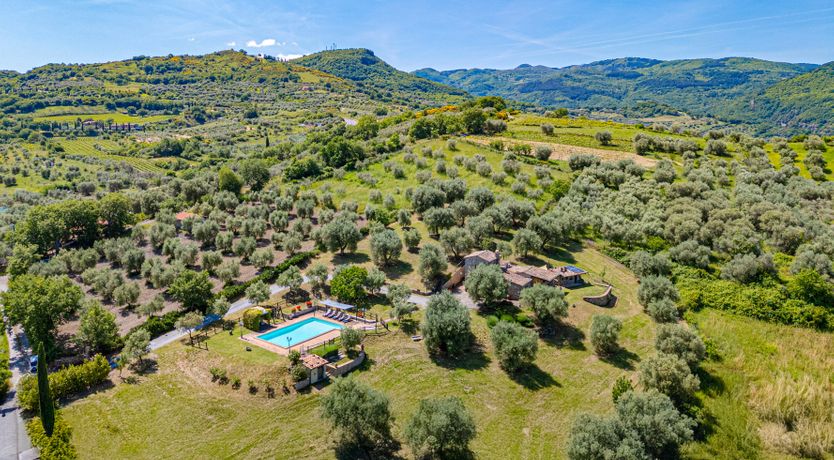 Photo of Shadow Blooms