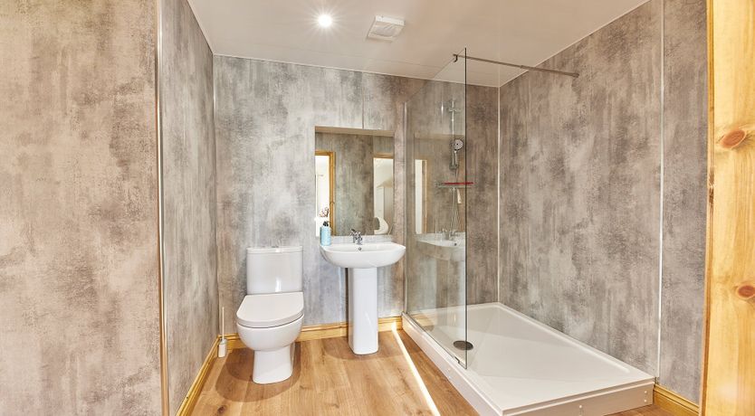 Photo of By the Light of the Moon